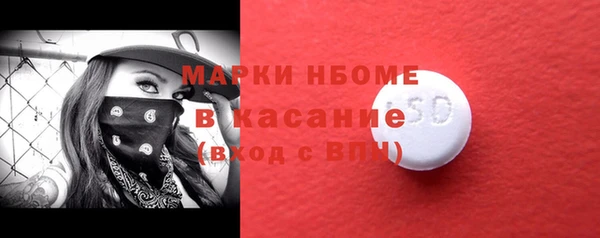 хмурый Каменногорск