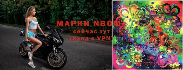 ГАЛЛЮЦИНОГЕННЫЕ ГРИБЫ Карпинск