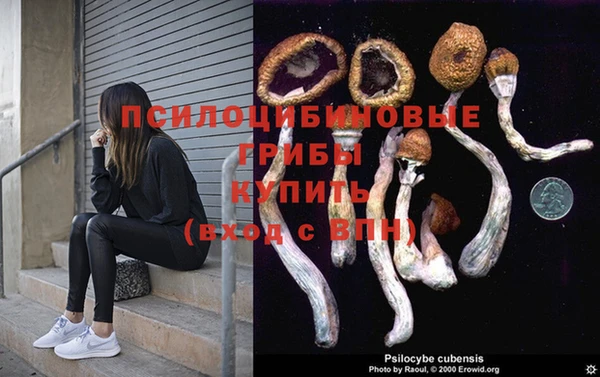 соль курить ск Каменка