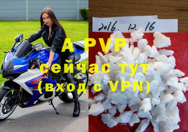 хмурый Каменногорск