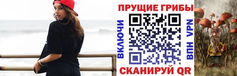 Псилоцибиновые грибы GOLDEN TEACHER  Купить закладки  Таганрог 